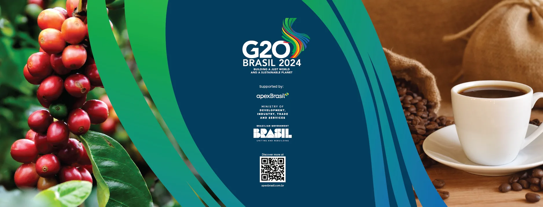 G20 Brasil · application 4