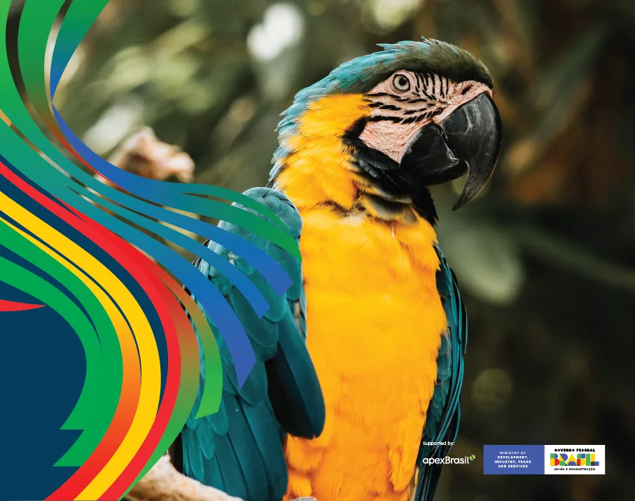 G20 Brasil · application 8