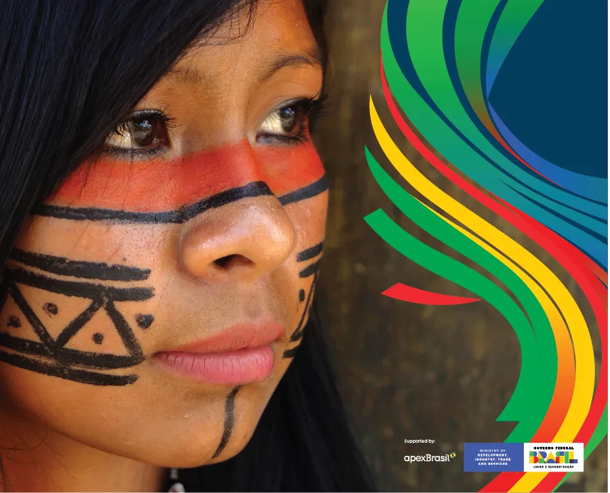 G20 Brasil · application 10