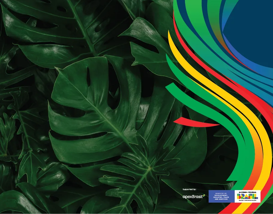 G20 Brasil · application 13