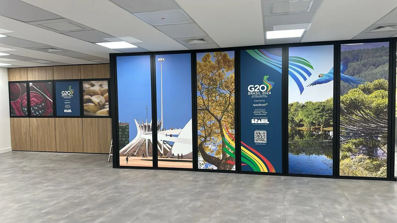 G20 Brasil · application 17