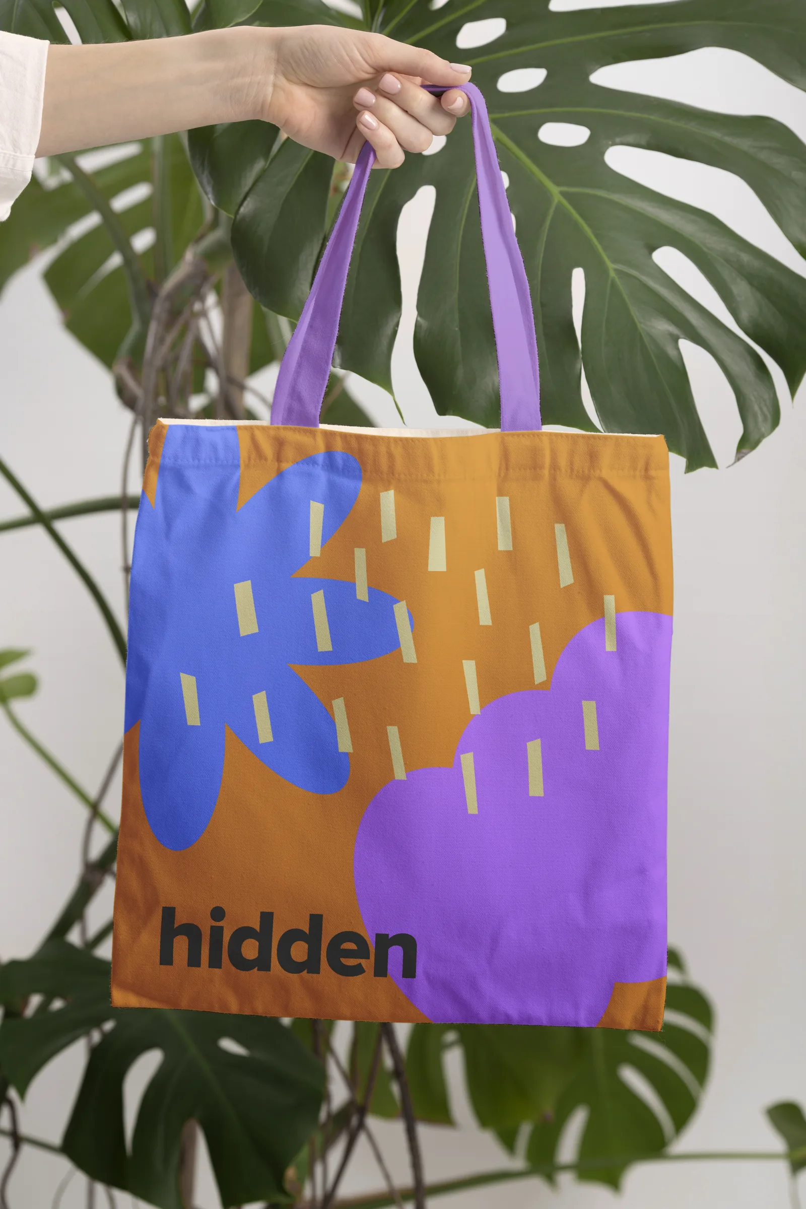 Hidden Salvador · application 6