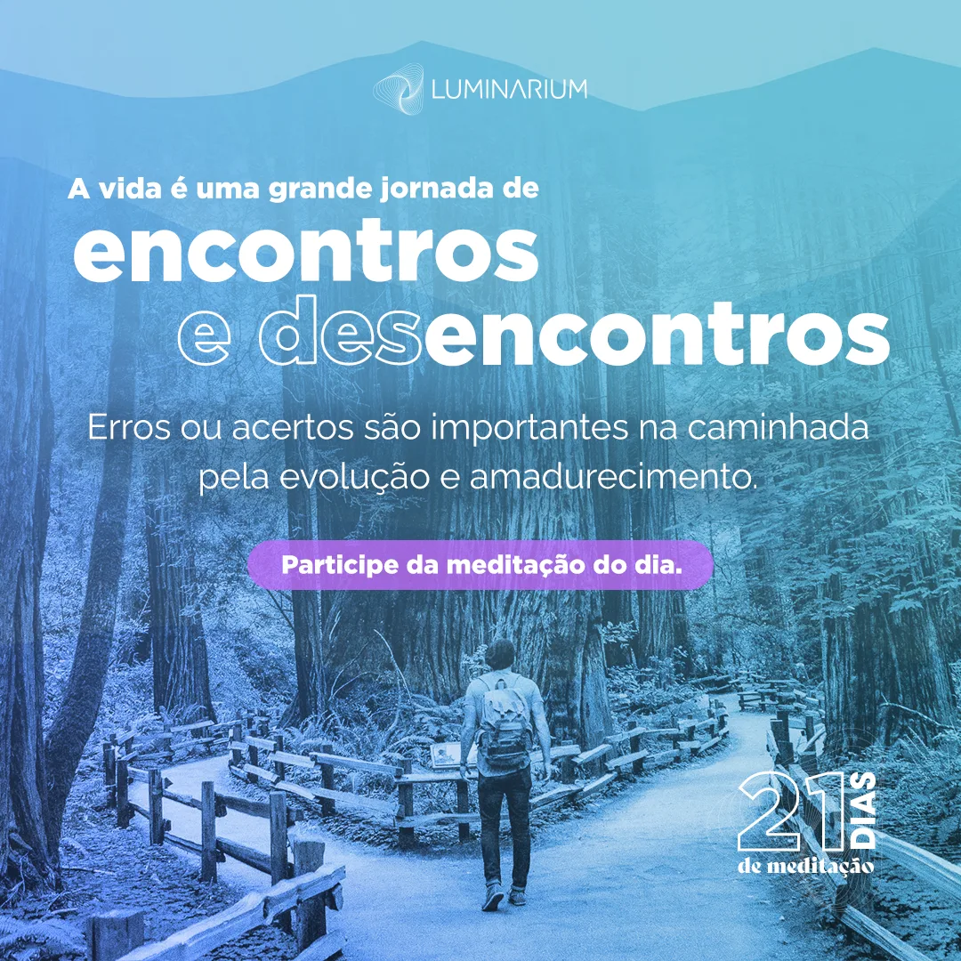 Luminárium · application 12