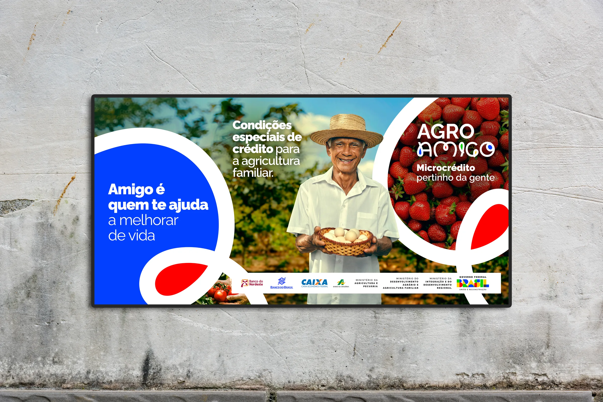 Agro Amigo · application 1