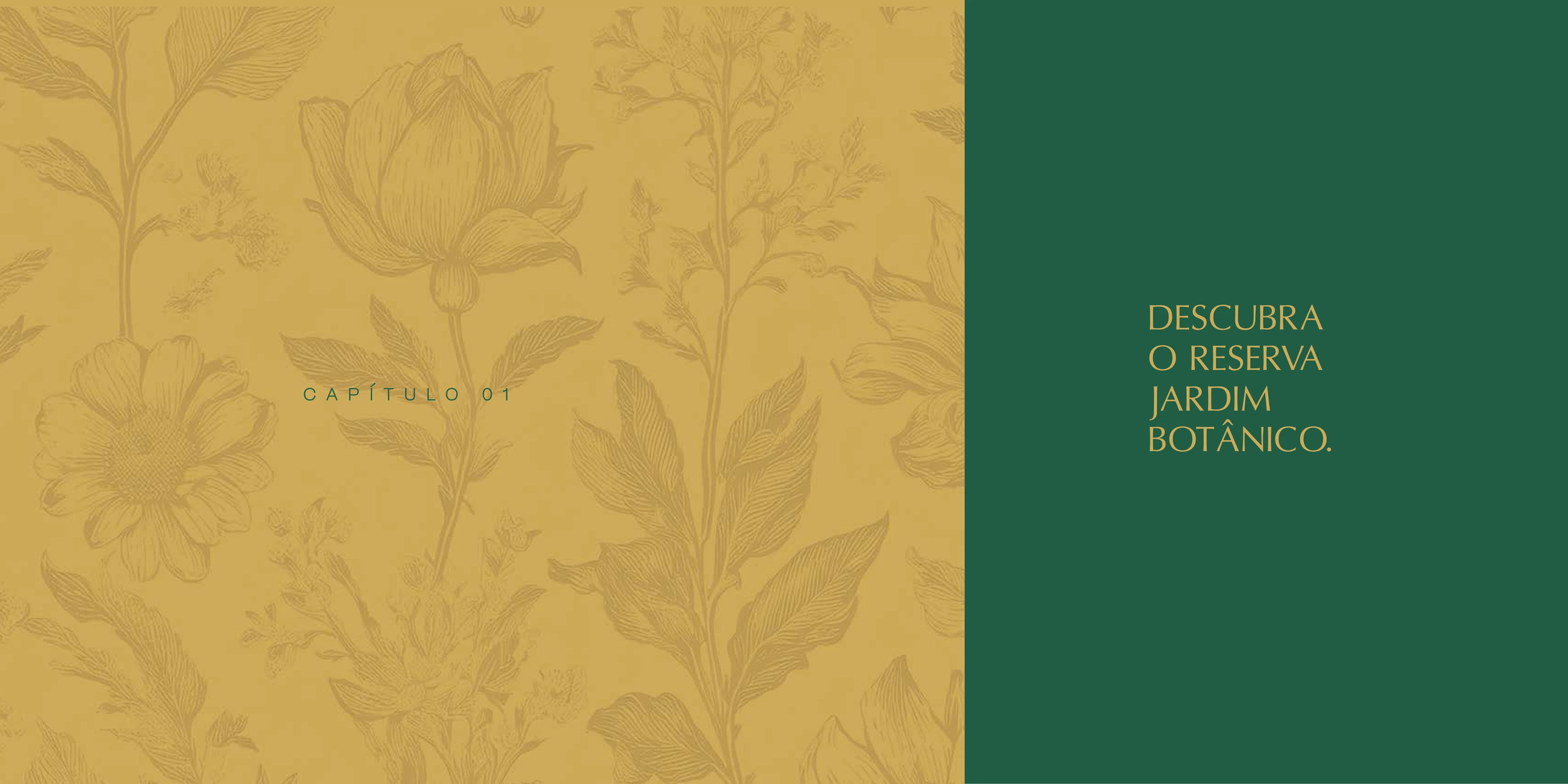 Launch Book · application 4