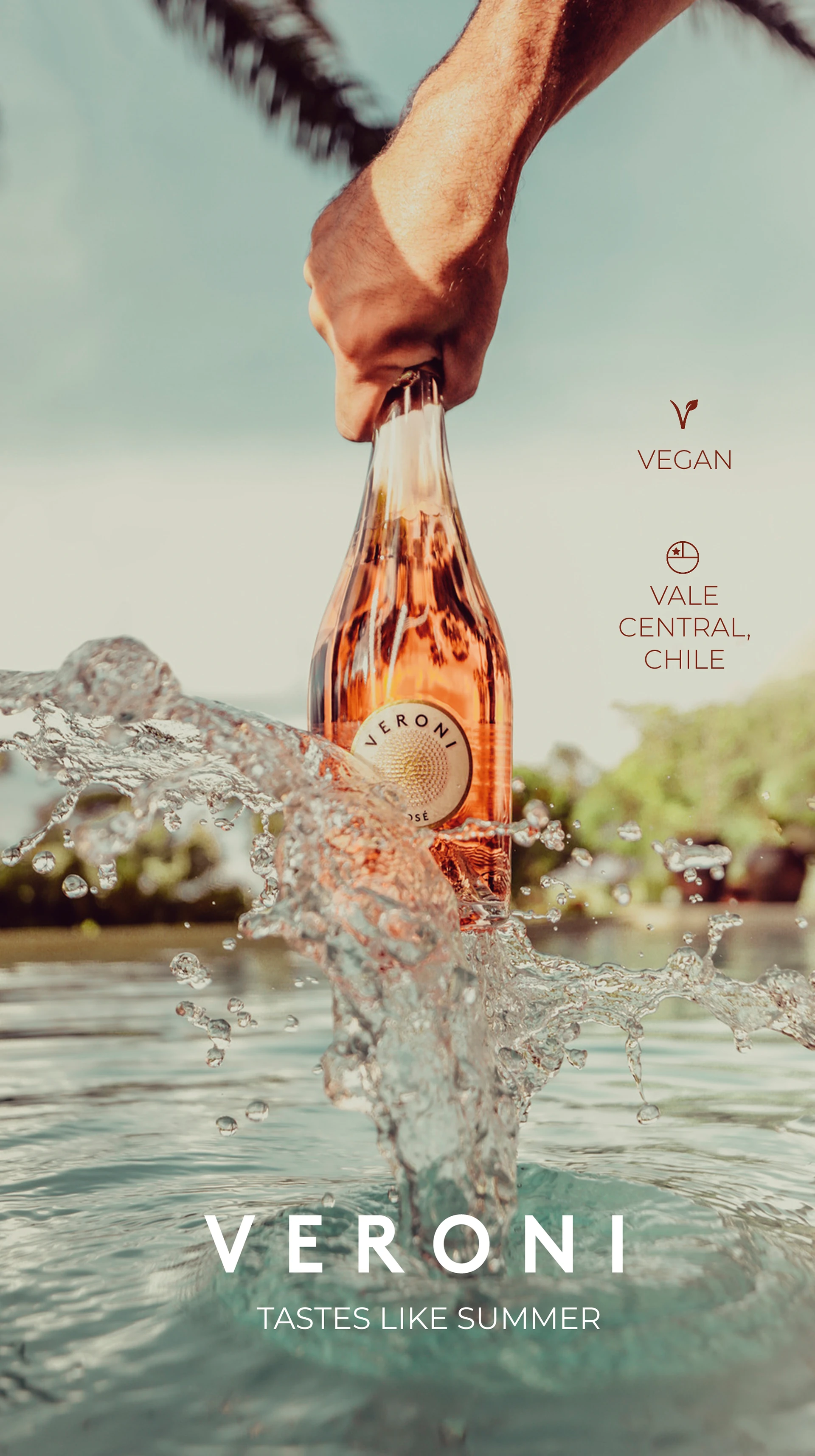 Veroni Wine · application 02